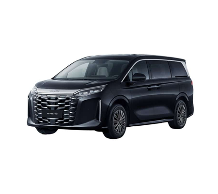 BYD M9